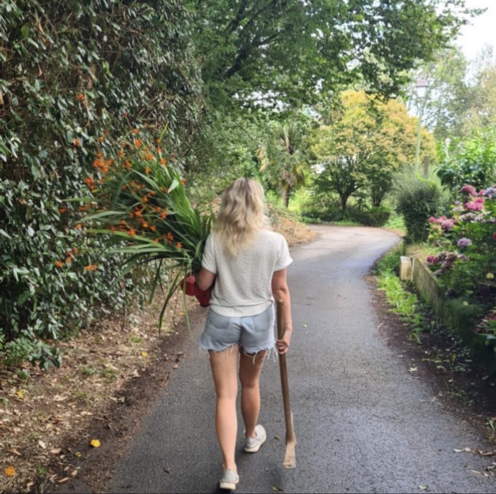 Screenshot IMG 2185 1024x1019