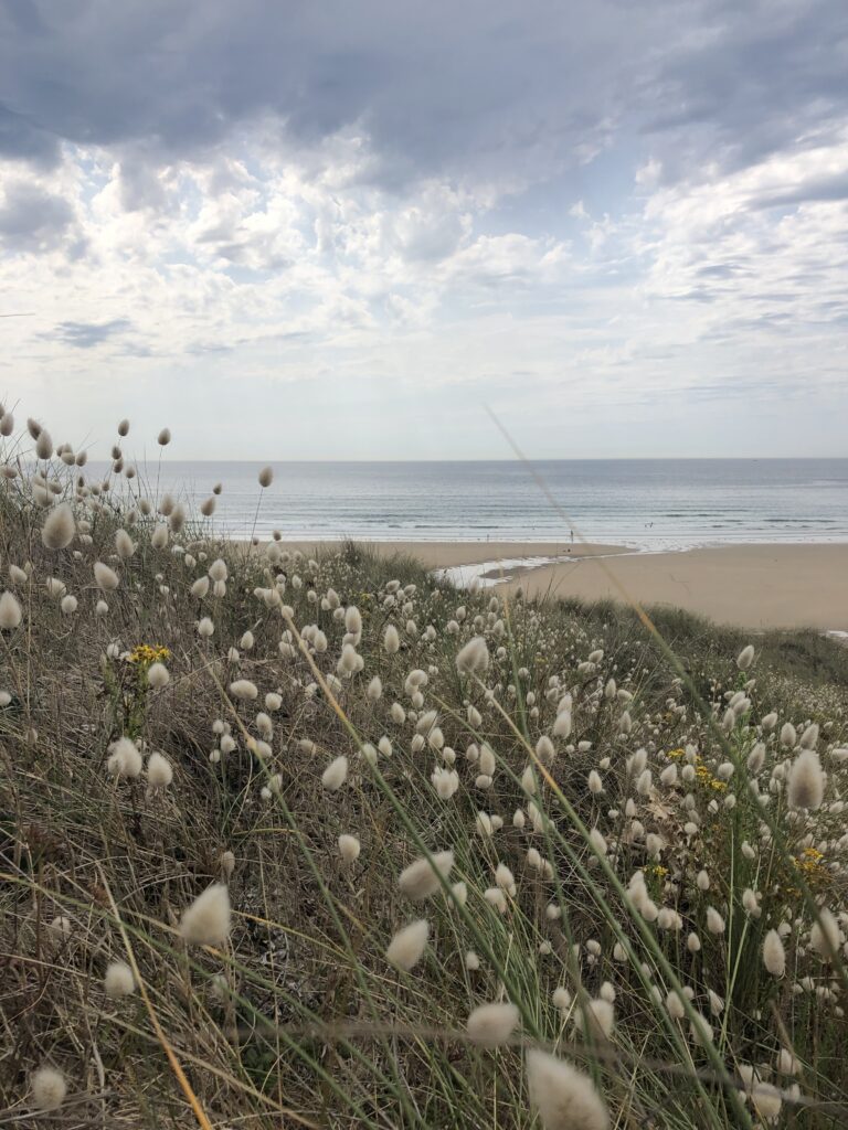 Locronan, l’un des plus beaux villages de Bretagne : que découvrir en 48h ? IMG 3614 768x1024