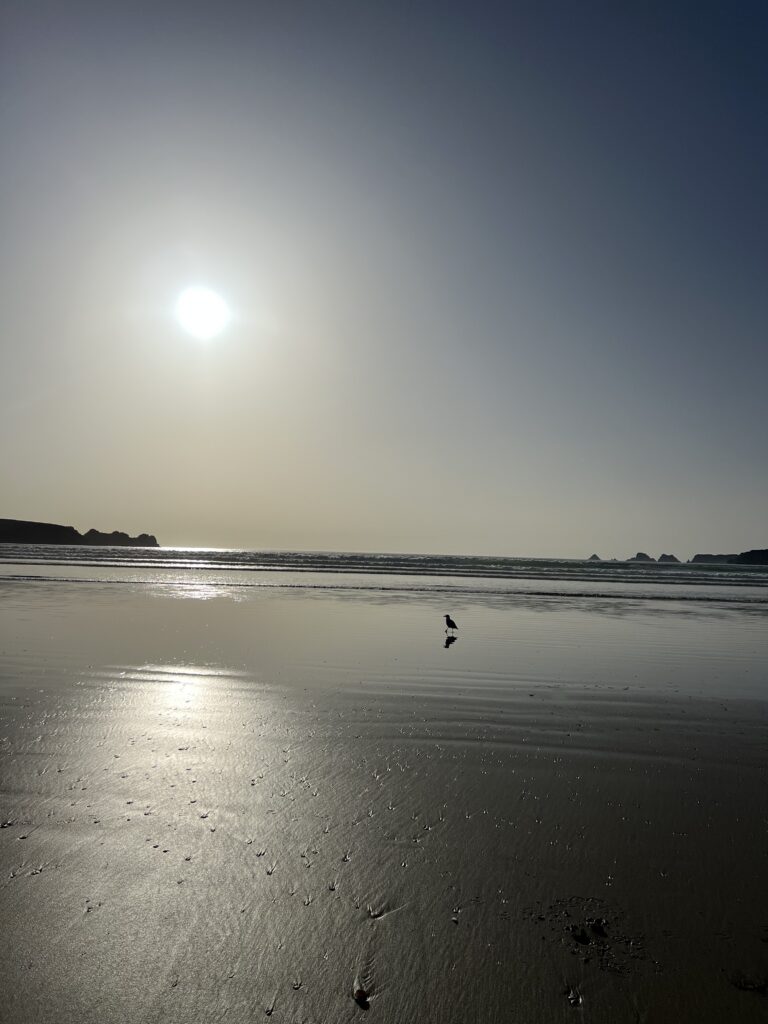 Locronan, l’un des plus beaux villages de Bretagne : que découvrir en 48h ? IMG 9536 768x1024