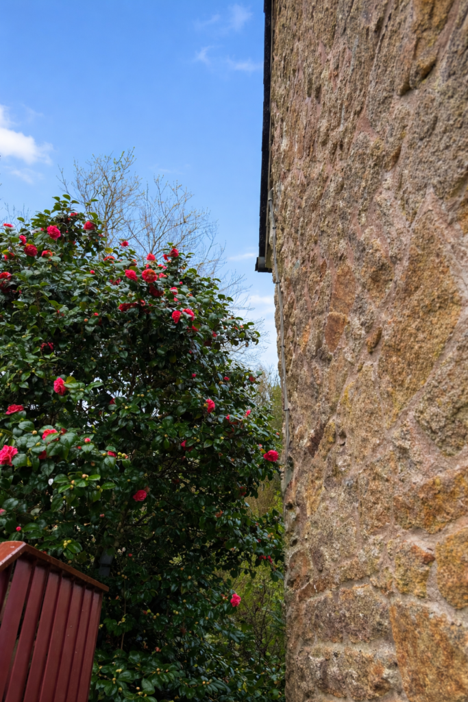 232001f5 6102 443b 9fb4 0a2525c9975d