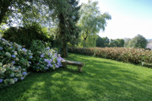 banc de pierre dans le jardin